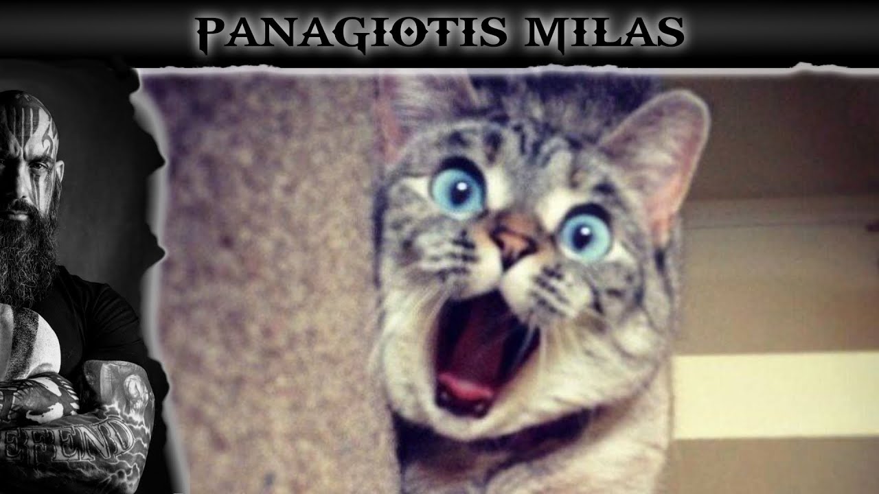 STORY TIME - Η φορά που έμαθα ότι σκότωσα γάτα (Story time και πολύ σοβαρό ηθικό δίδαγμα)