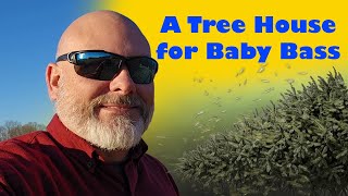 How I Sink Christmas Trees in my Pond. Pond Part 6.