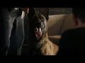 Person of interest  2x01 contingency  reese meets bear in memory of graubaers boker
