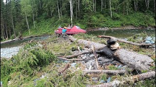 В ДЕБРИ за ХАРИУСОМ, мы там ПЕРВЫЕ, идем через завалы, образцовые избы. КАНТЕГИР.