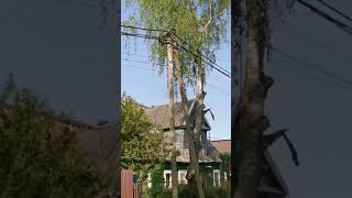 Гатчинский район. Посёлок Пудость. Дореволюционные дома. 4.06.2025.