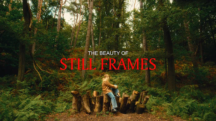 the beauty of still frames | Sony FX30 | Film Emulation