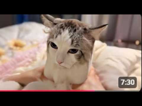I react to UNUSUAL MEMES COMPILATION V354