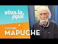 Gastón Soublette explica: ¿Qué debemos aprender de la cultura mapuche? - Viva La Pipol