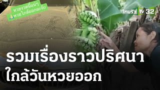 รอยปริศนา! โผล่ใกล้วันหวยออก  | 30 เม.ย.67 | ข่าวเช้าหัวเขียว