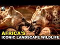 Africa&#39;s Iconic Landscape Wildlife documentary (Hindi) - World Documentary HD