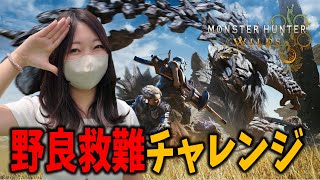 今夜は野良救難で勝利しまくるぞぉぉおおお【モンハンワイルズ】