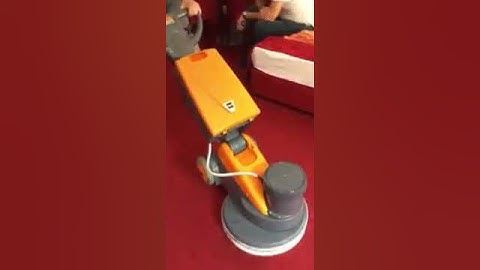 Taski profesional dandiros