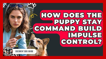 How Does The Puppy Stay Command Build Impulse Control? - Obedient Dog Guide