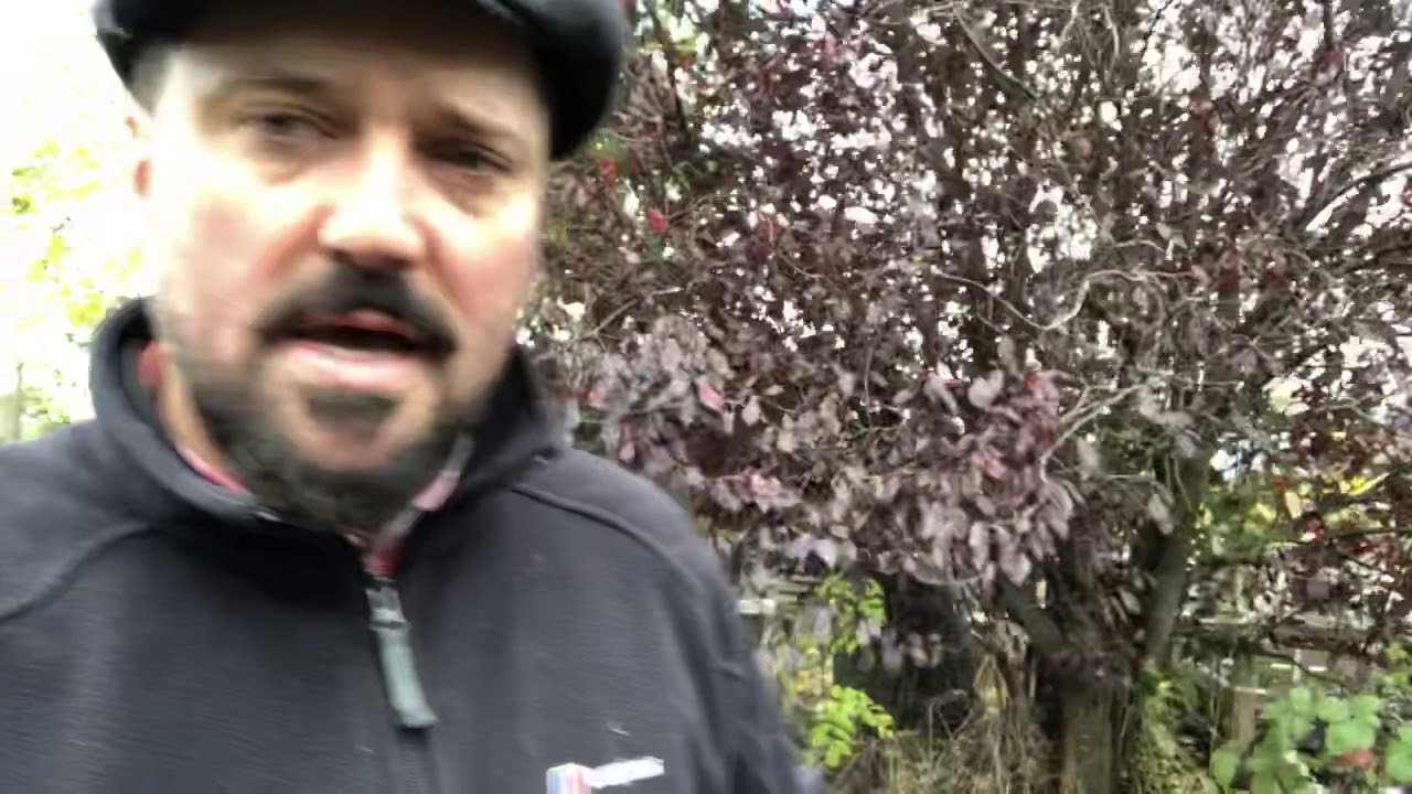 The clean up continues - YouTube