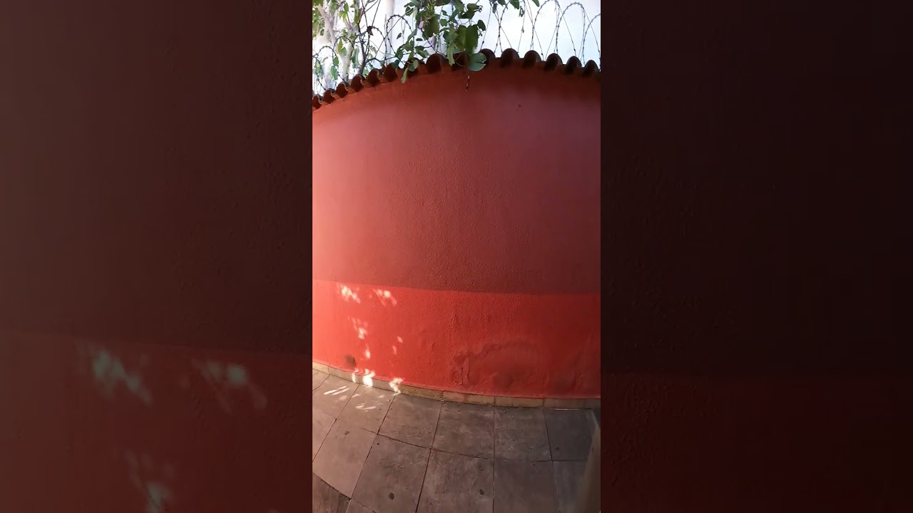 IMOBILIARIAVITRINI.COM.BR casa Cód 42027 Aluguel  ligue 34484848