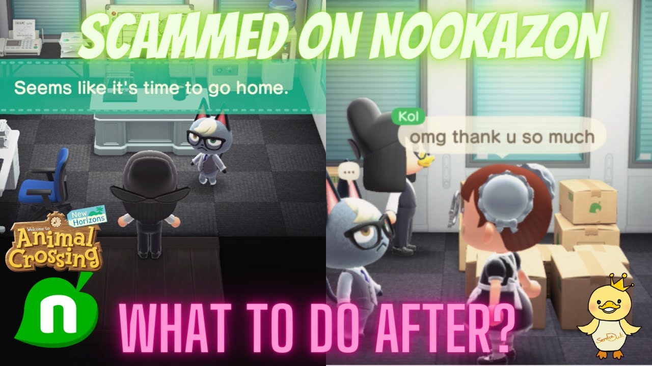 Getting scammed over Raymond on Nookazon - so what did I do? Animal