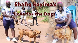 Shafiq Kayima and his Love for the Dogs