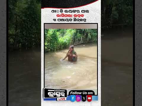 ବନ୍ୟା ଜଳରେ ଭାସିଲା ଭଦ୍ରକ #bhadrak #odishabhaskar