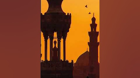 ما تيسر من أواخر سورة القصص... للقارئ/ عبد اللطيف تميم