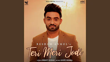 Teri Meri Jodi