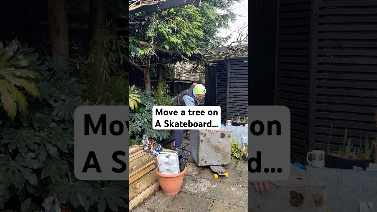 Передвигаем дерево на скейтборде&hellip; #садоводство #советыпосадоводству #сад