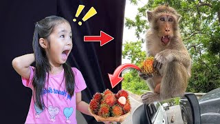 ระวังลิงดุ! 🐵 อยากกินเงาะ เขาสามมุข ทะเลบางแสน