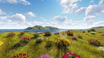 Spring Stock Motion Graphics