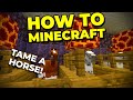 Tame the BEST Horse - How To Minecraft #36