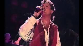 David Hasselhoff  -  "Lovin´ Arms"  live 1990