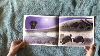 Daily Bedtime Story Episode 32 : Tricky Tortoise