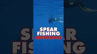70 FT Down and Disaster Strikes | Marvin Strakos #fishing #fishingstories #fish #spearfishing