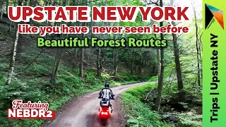 Beautiful Upstate New York #forest #Offroad #bdr #nebdr #bmw 