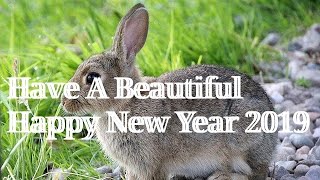 Have A Lovely Happy New Year 2019 Wishes Greetings Quotes Ecards SMS WhatsApp Video message #1 screenshot 5