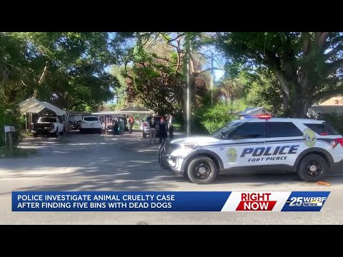 Florida police investigating after finding five bins with dead dogs inside