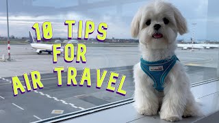 HOW TO FLY WITH YOUR DOG? ✈  10 TIPS FOR AIRPLANE TRAVEL