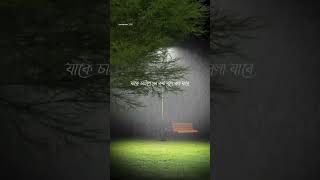 ভালোবাসাviralvideo youtubeshorts youtubevideo shortvideo