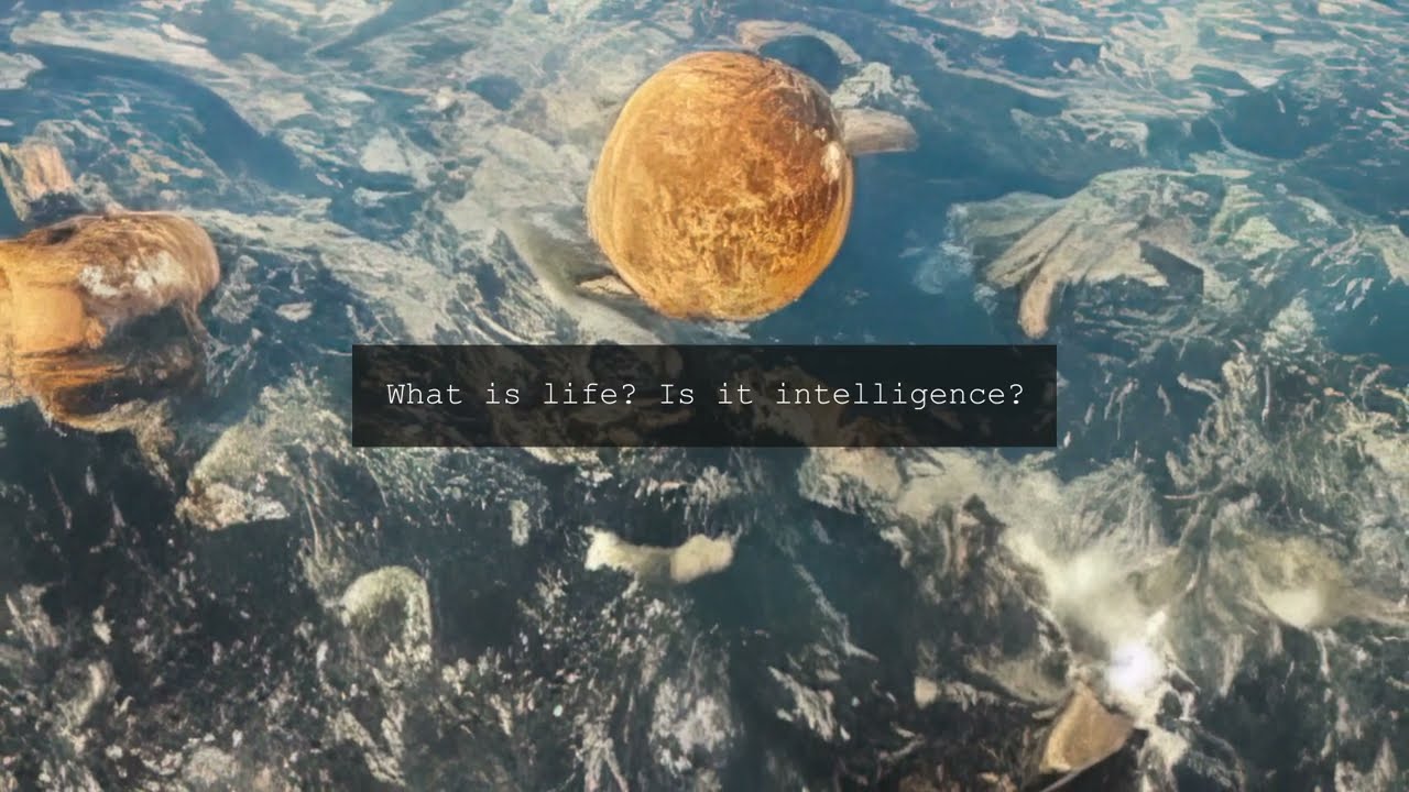 Love Tomorrow Conference - Once Upon AI - Teaser