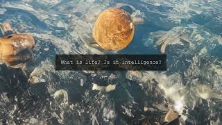 Famous Love Tomorrow Conference - Once Upon AI - Teaser Net Worth