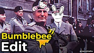 𝘽𝙀𝙉𝙄𝙏𝙊 𝙈𝙐𝙎𝙎𝙊𝙇𝙄𝙉𝙄 Bumblebee Edit