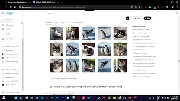 Machine learning of animal classification using CNN EFFICIENT NETB7