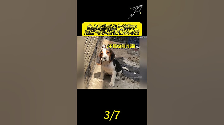 盘点那些爱生气的狗子，连生气的时候都那么可爱#狗狗 #狗狗成精了 #动物的迷惑行为 #养狗的乐趣 #萌宠 3 #看一遍笑一遍 #搞笑 #人類迷惑行為