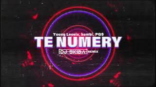 Young Leosia, bambi, PG$ - TE NUMERY (DJ SKIBA REMIX)