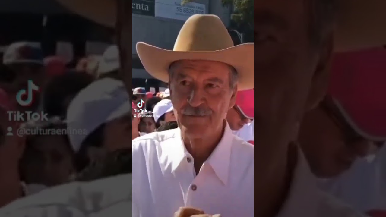 Vicente Fox asiste a marcha a favor del INE./Noticias