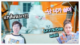 Pranking My Dog With Invisible Wall !! 🐶🤦🏼‍♀️