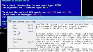 Recording DOSBox with Camtasia in Fullscreen