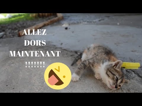 Vidéo: Comment Désactiver Le Chat Dans KS