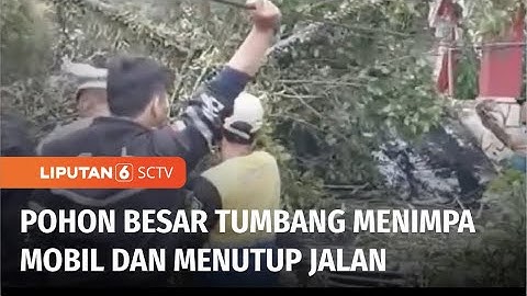 Diterpa Angin Kencang, Pohon Beringin Tumbang Menimpa Mobil yang Terparkir | Liputan 6