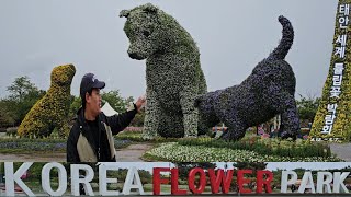 Beautiful Flower Park Of South Korea // Tulip Flower Garden // Bigest Flower Garden Of South Korea