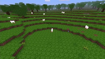 Minetest - Sheep (timelapse)