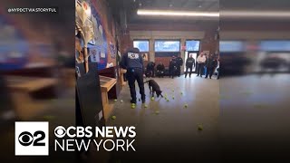 Retiring NYPD K-9 gets tennis ball salute sendoff