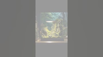 một số mẫu demo cho non bộ tiểu cảnh đẹp