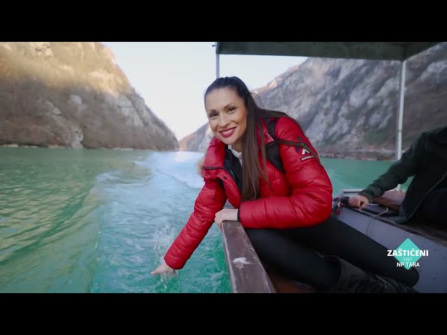 TEPIH LIVADA na Tari debljine 4 METRA, posmatranje MRKIH MEDVEDA i sportski ribolov | Zaštićeni svet