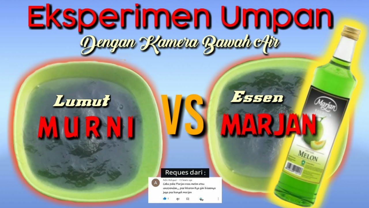 LUMUT MURNI VS ESSEN MARJAN || TES UMPAN DENGAN KAMERA BAWAH AIR