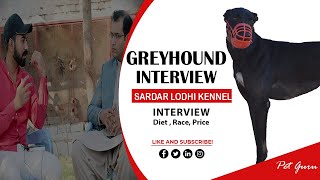 Greyhound Dog Information With Shahroz Sadiq Khan Lodhi  Sardar Lodhi Kennel  Dog Training,diet